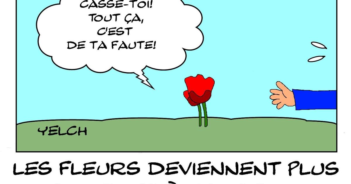 Les fleurs deviennent plus sombres à cause du réchauffement climatique
