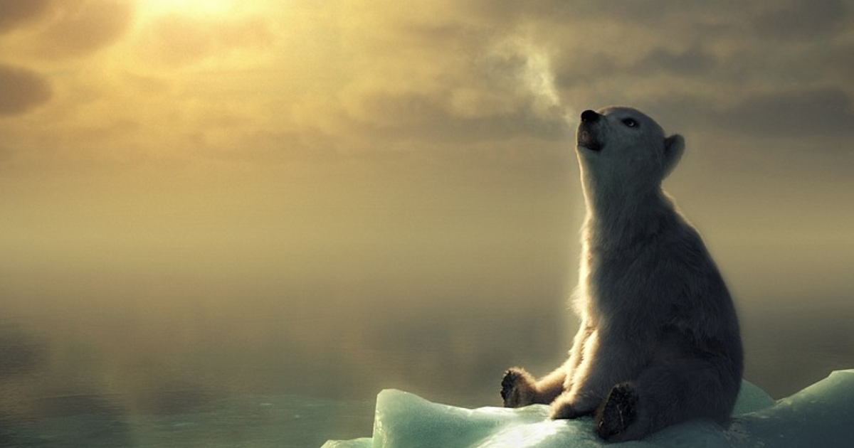 Partie 2 : Solitude