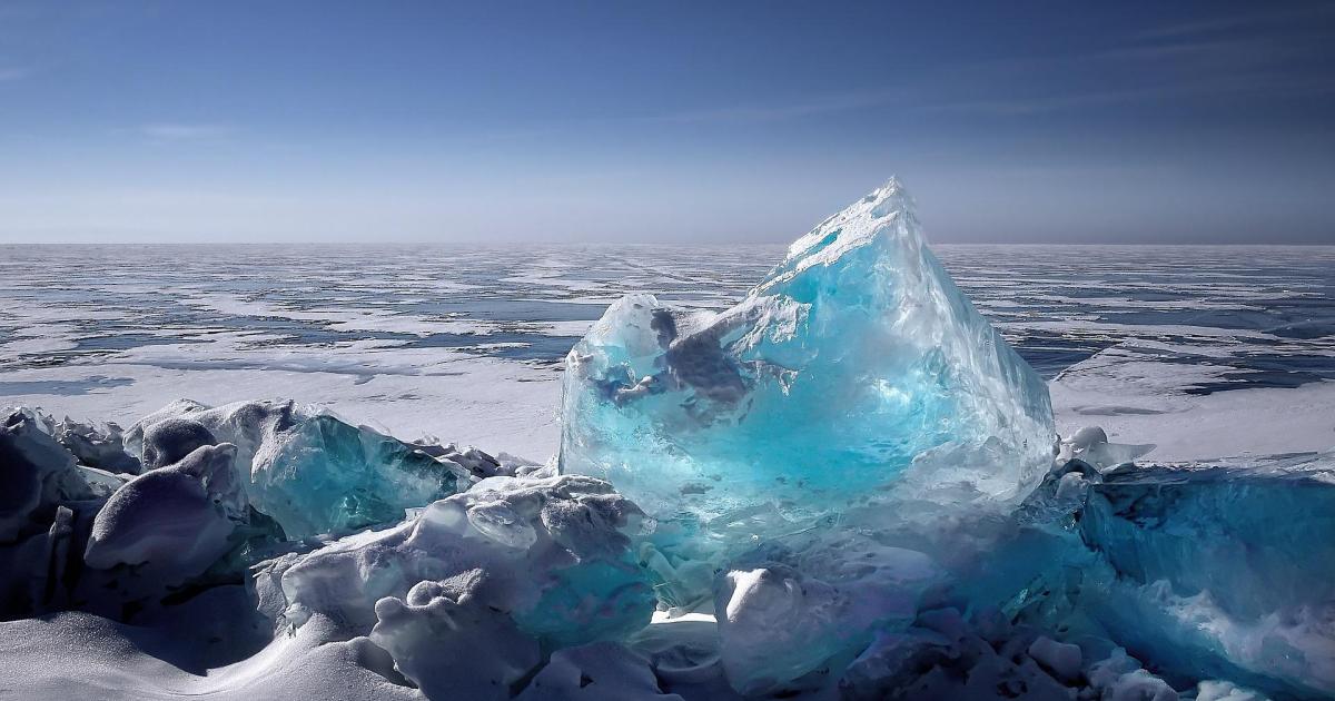 A la conquête d'une terre sauvage...