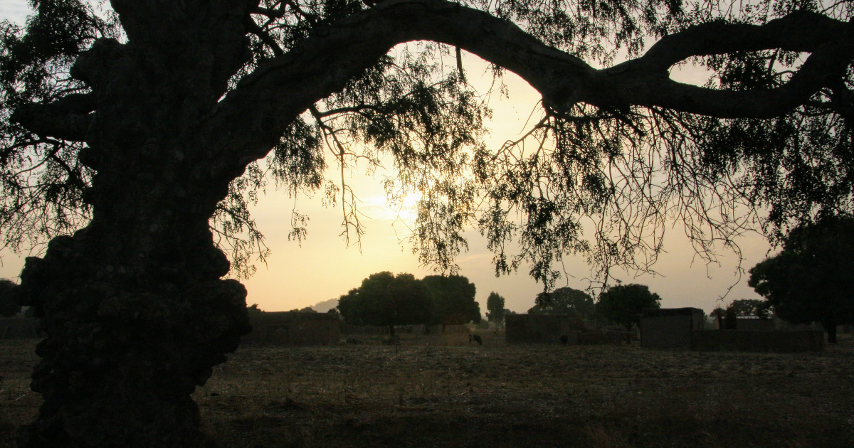 Carnet de voyage au Burkina Faso. La lumière de Tiébélé.