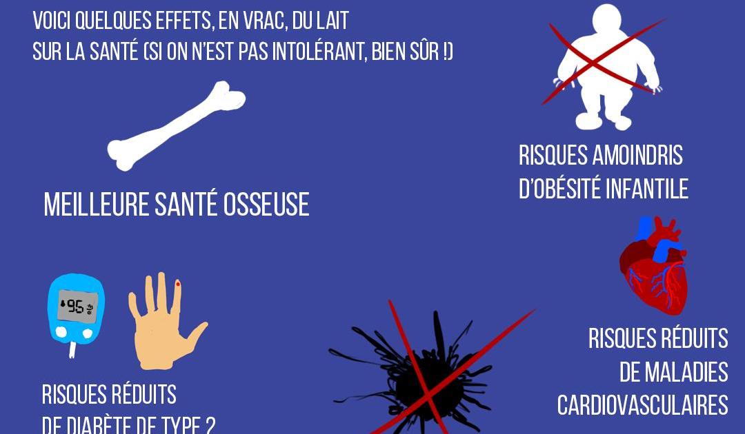 Le lait n'est pas "du pus de vache toxique"