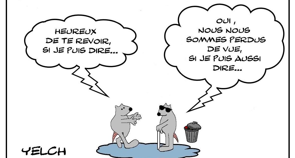 A perte de vue