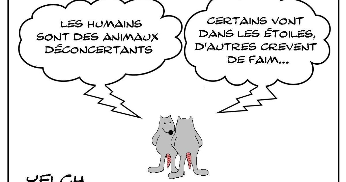 Déconcertants humains
