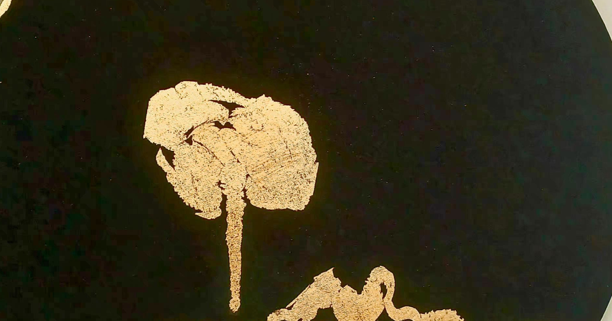 Racine et Botanique de l'Absolu