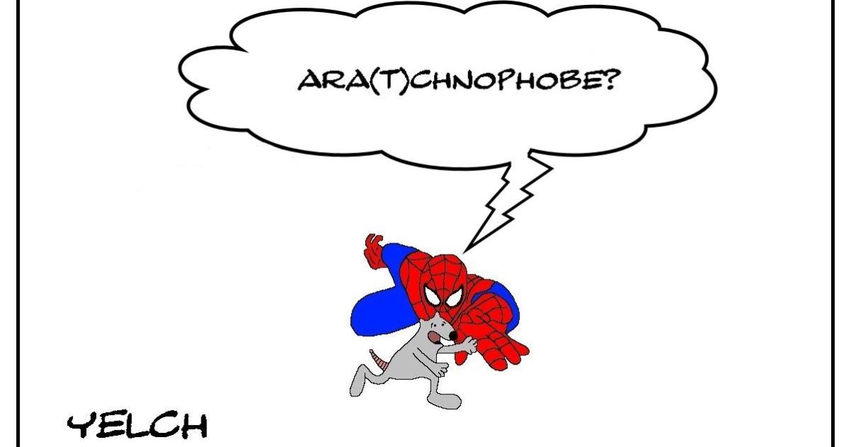 Ara(t)chnophobie