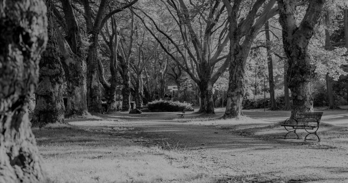 JOURNAL DE L’ANNÉE DE LA PESTE : 13 mai