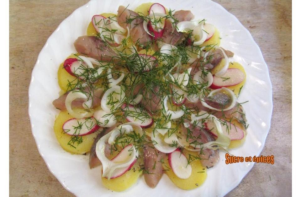 Salade de pommes de terre tièdes aux harengs fumés, radis et aneth