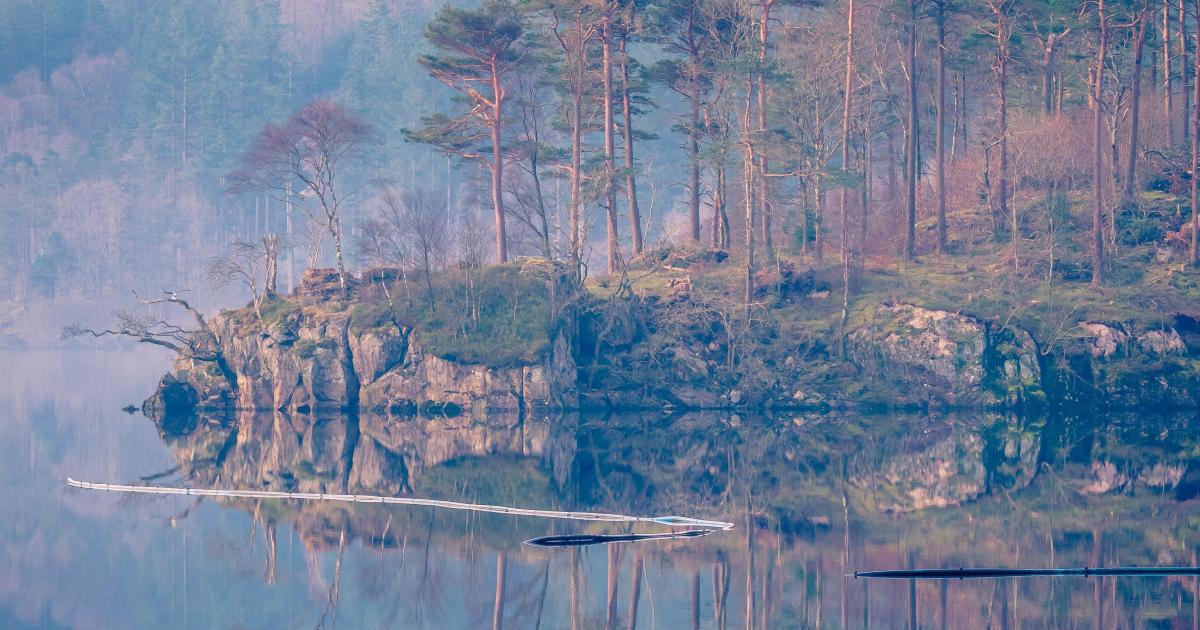 Préambule (Photo by Jonny Gios on Unsplash)