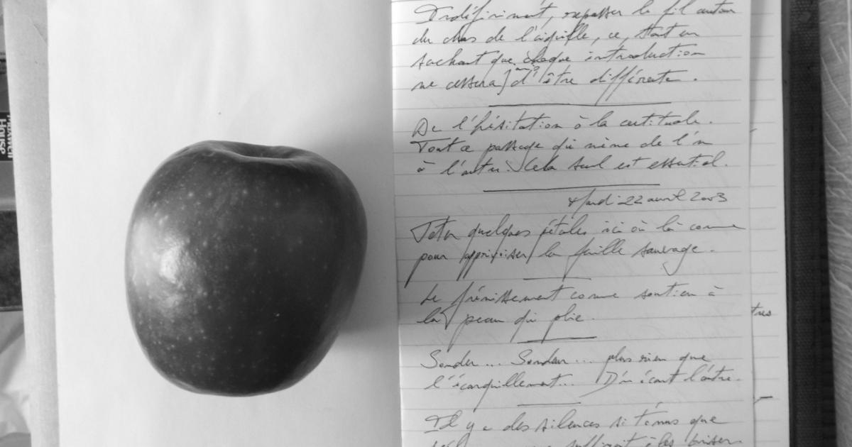 Petits Papiers Volants : Journal D'écriture 2003-2018