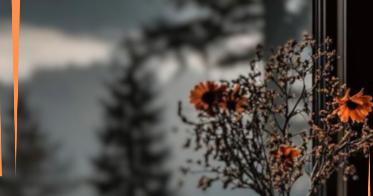 Inspiration dans les brumes.