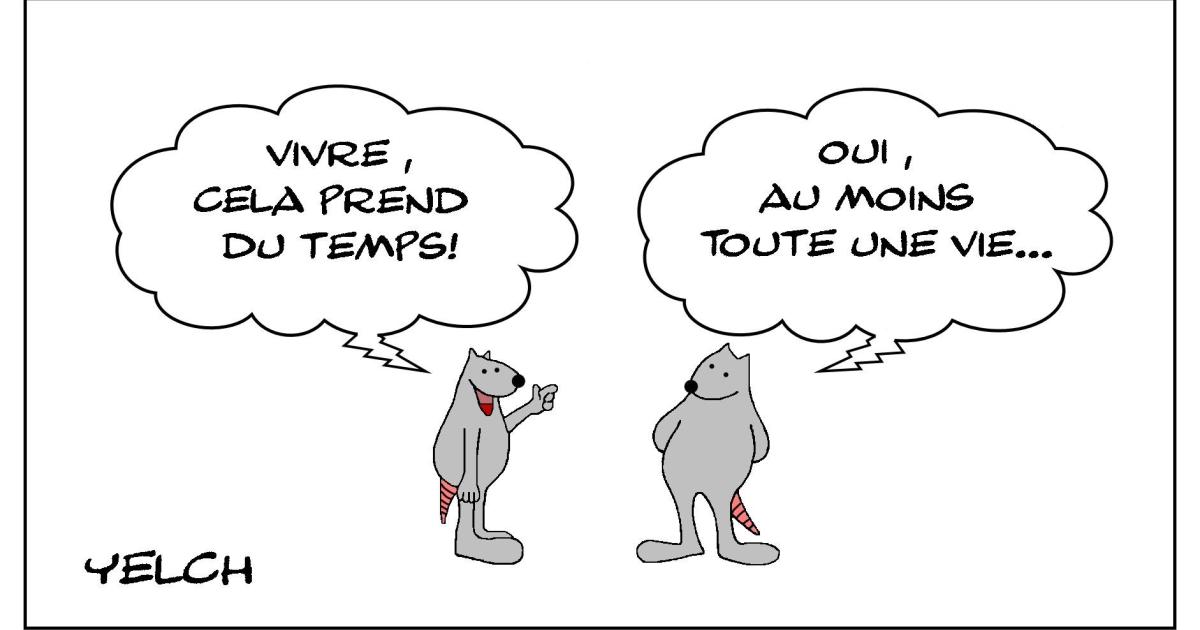 Le rat qui trouvait la vie trop longue