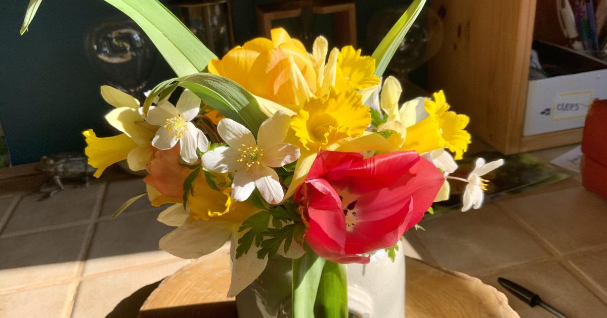 Votre bouquet du Dimanche 27 Mars