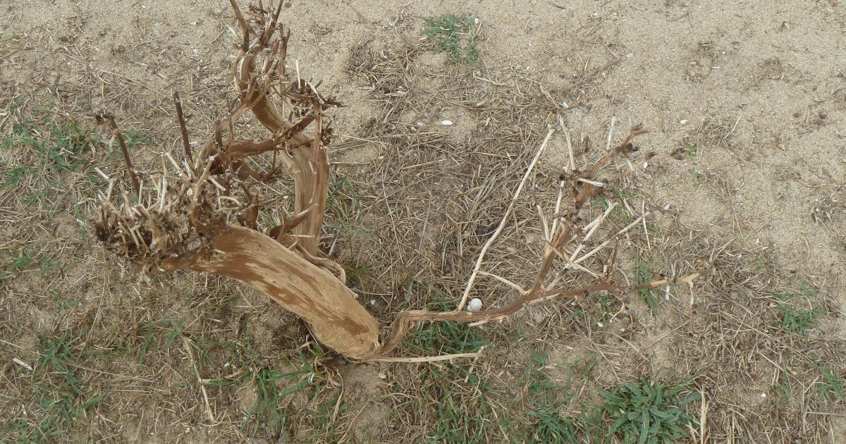 Losing the sun (part 1/3)