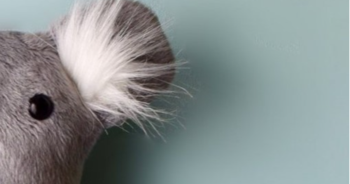 UN HÉROS POUR HILDEGARDE