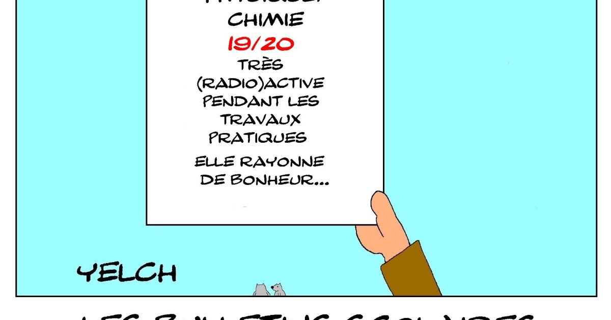 les bulletins scolaires de Marie Curie : physique - chimie