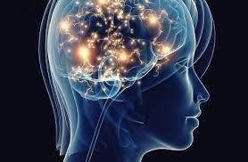 Si le verbe "humourir" (de rire) avait existé, il aurait donné du sens au propre de l'homme.