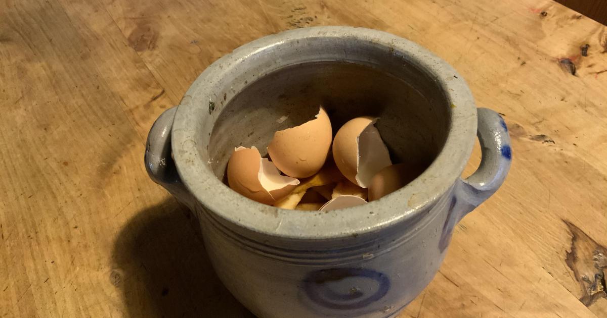 Le jardin du 3 Novembre