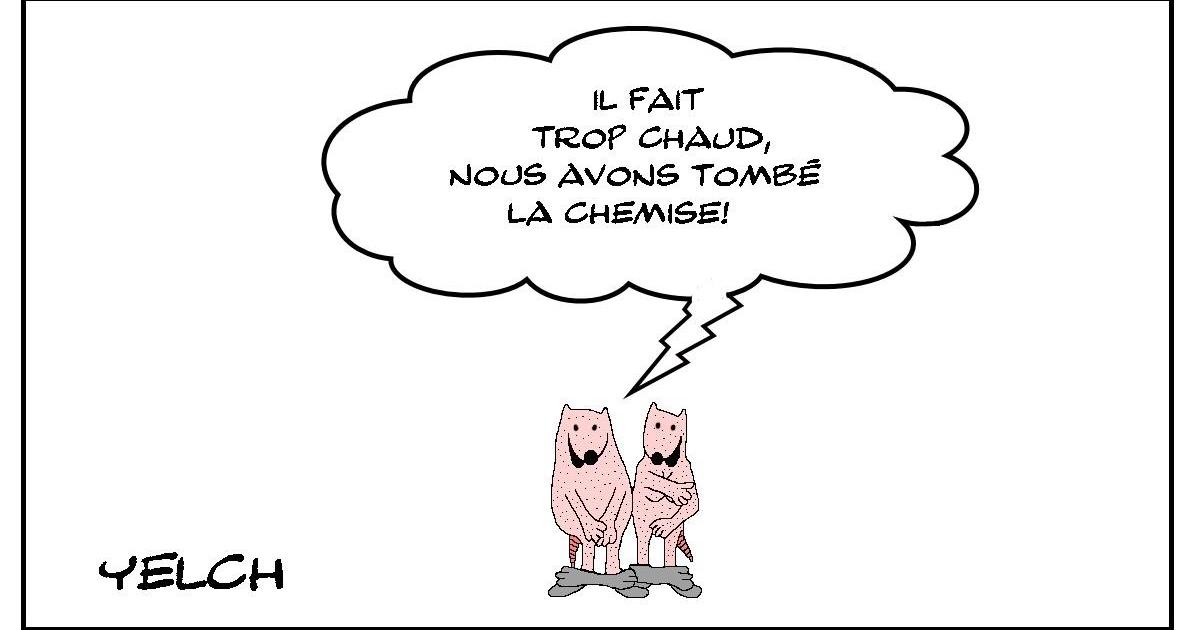 Dépoilant