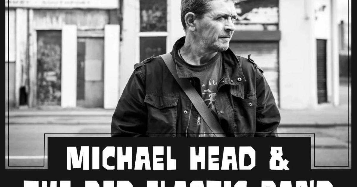 Le gars de Liverpool - Michael Head and the Red Elastic Band