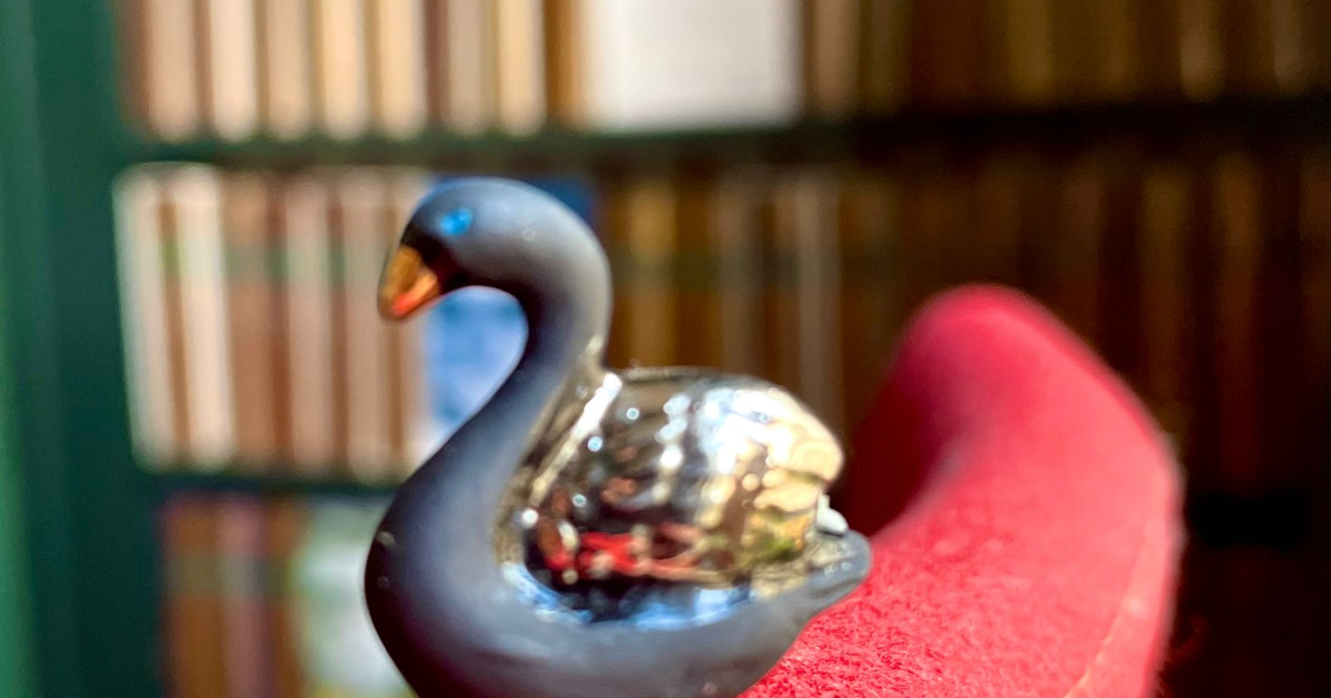 Fleurs mathématiques et cygne flou