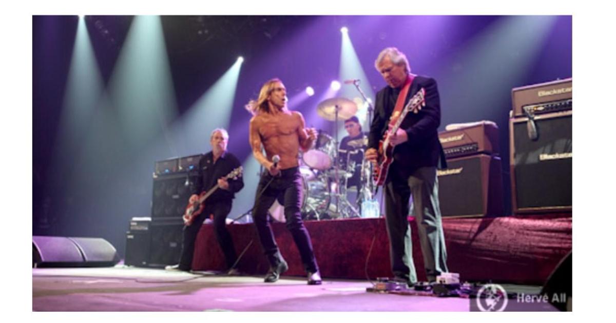 I wanna be your dog – L'ombre des Stooges