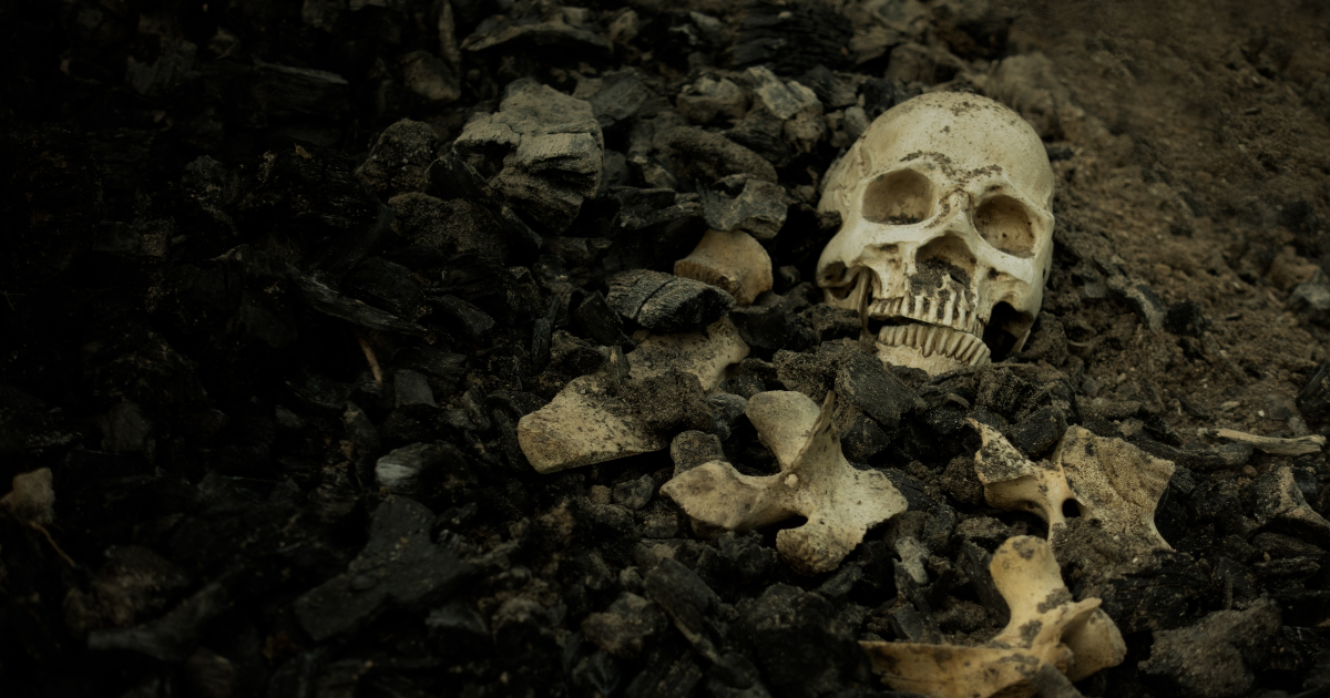 Mon petit sac d’os – Dernière lettre