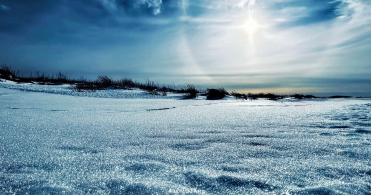 Elles dansent au Savoyard