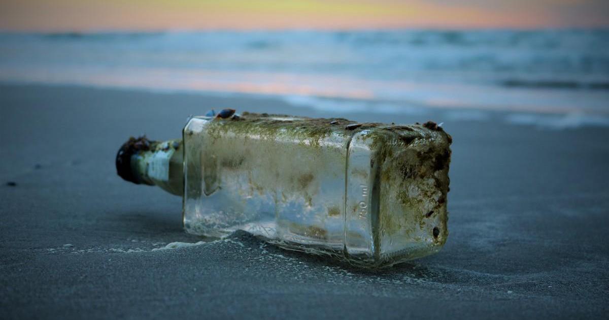 Argo découvre le bois qui n'existe pas