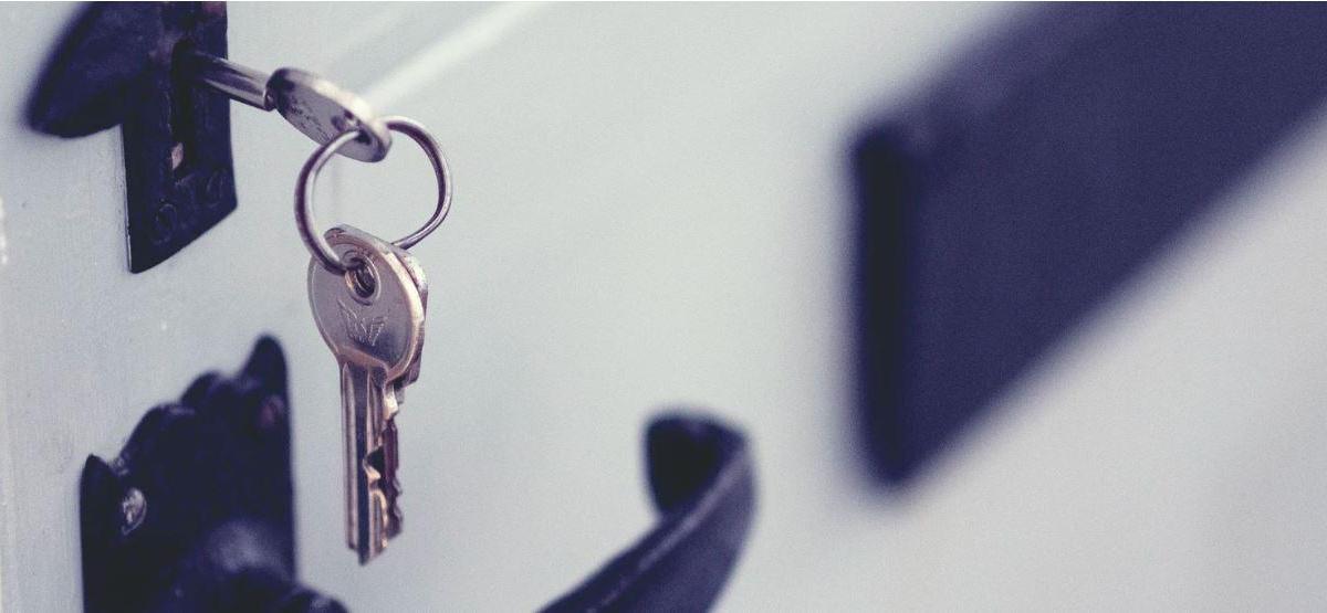 CHRONIQUE DU TRAVAIL DÉCONFINÉ (#33)