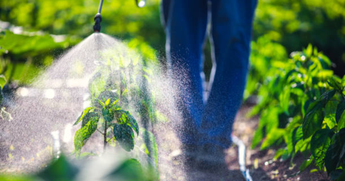 the Gliphosate related to ADHD insurgency