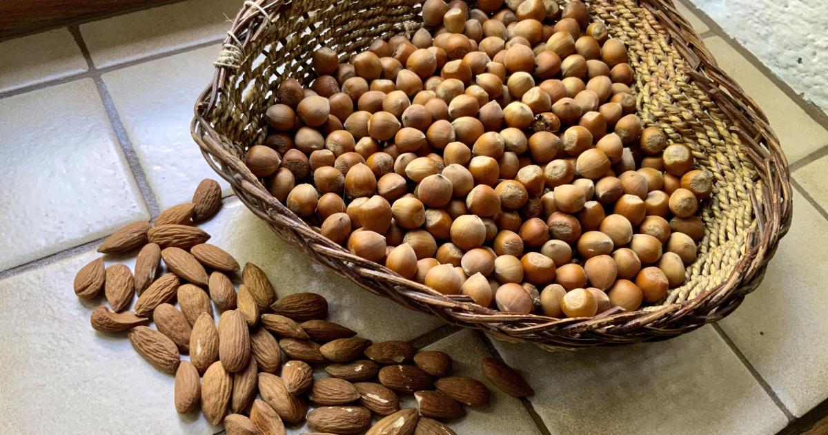 Le jardin du 21 Août, avec Hildegarde