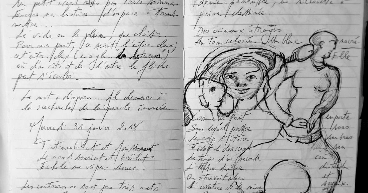 Petits Papiers Volants : Journal D'écriture 2003-2018 -Mardi 30 et Mercredi 31 janvier 2018