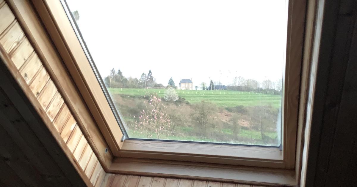 Anne-Cécile, notaire (# 42)