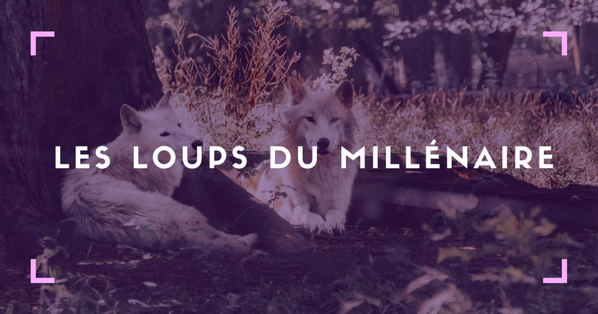 J'ai lu "Les loups du Millénaire" Tome 2 de Sapir A. Englard