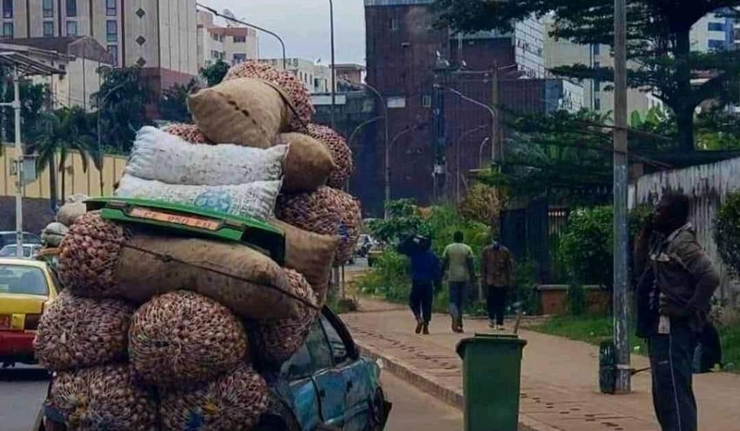 SOUS-DEVELOPPEMENT EN AFRIQUE : LE PARADOXE DE L’ABONDANCE