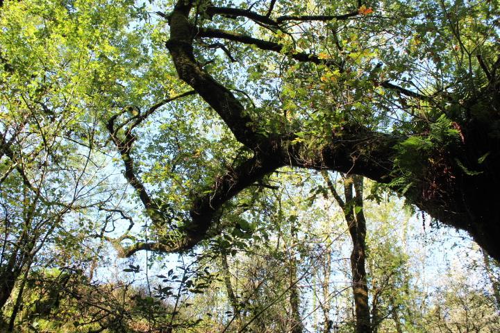 Journal de bord de jeûne #2