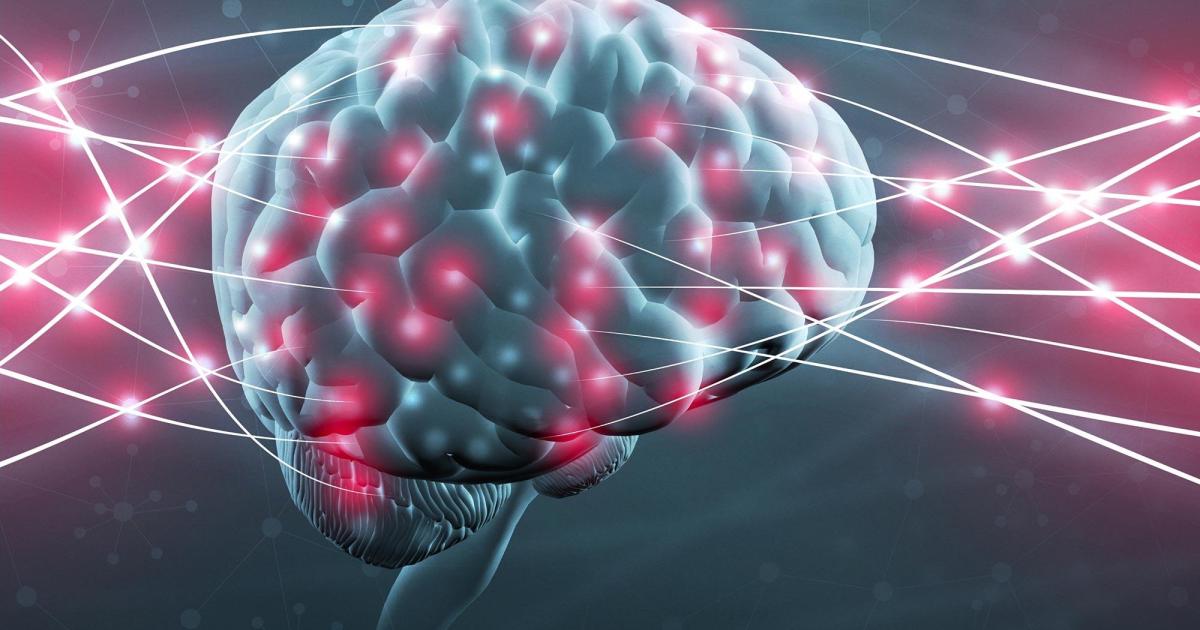 L'humour est le premier des cadeaux qui périt dans une langue étrangère.