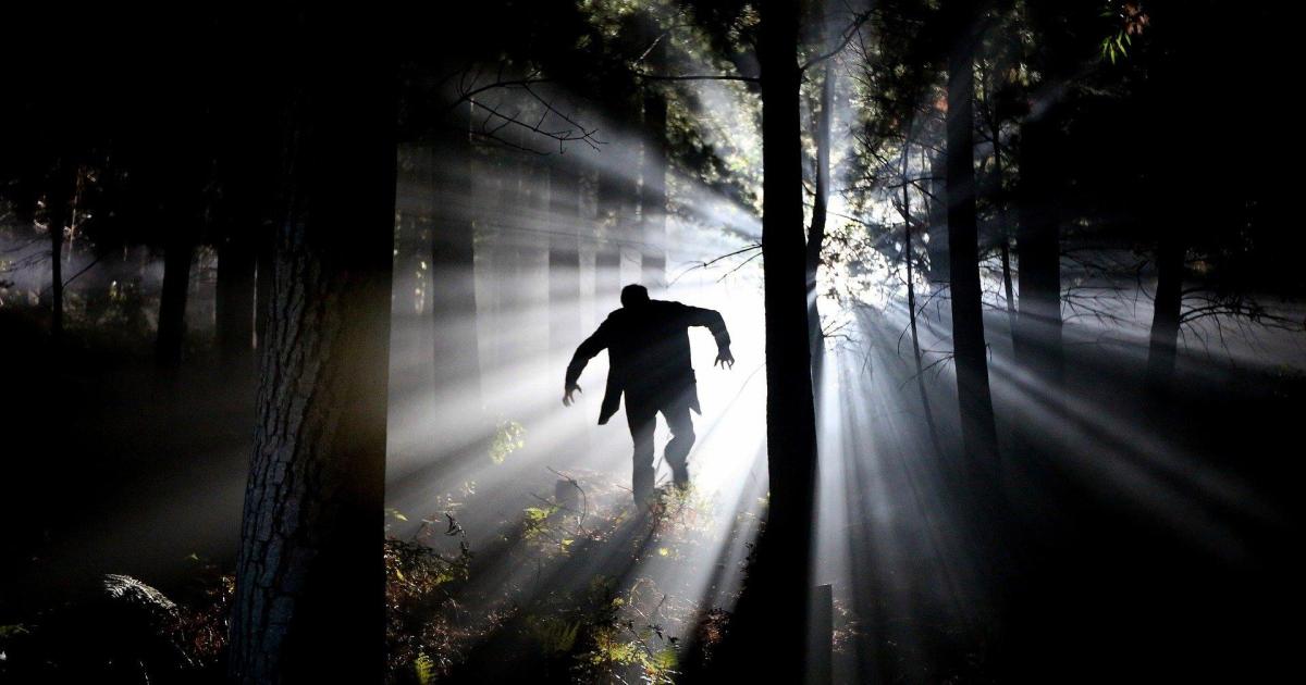 Un conseil : courez !