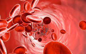 ROUGE EST LE SANG DES HOMMES