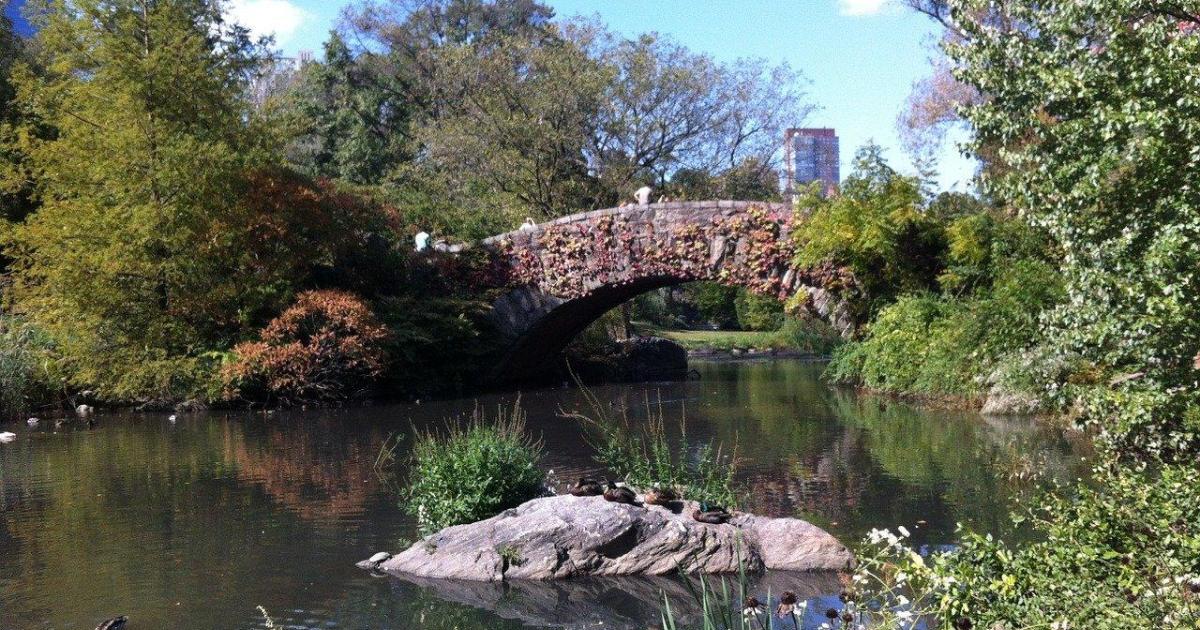 Chapitre 5 : Tant de questions sans réponses