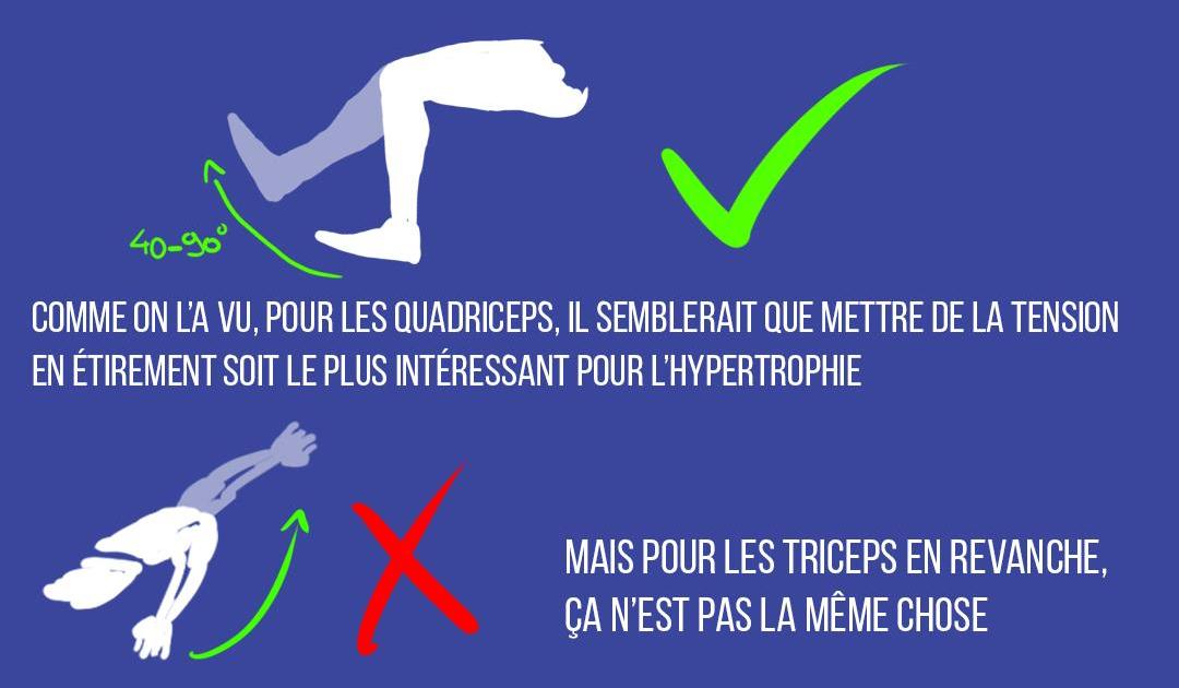 Les courbes de résistance et l'hypertrophie