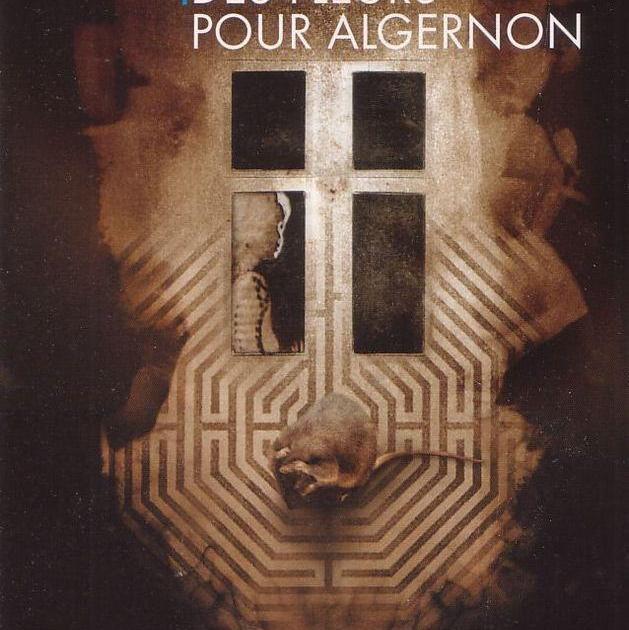 Des fleurs pour Algernon