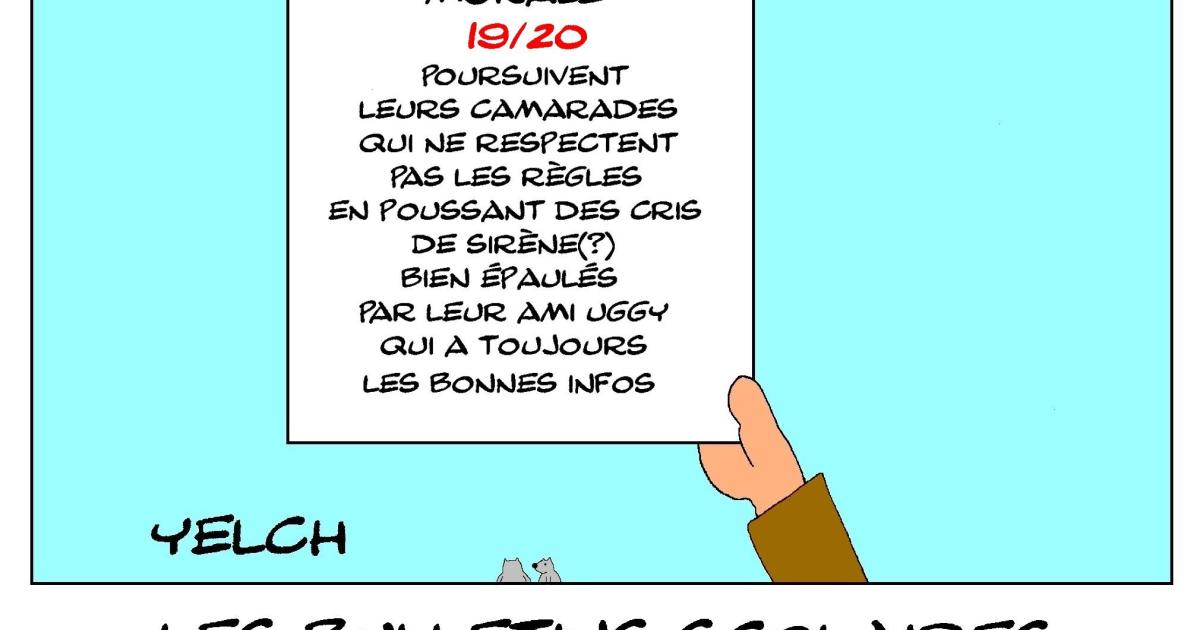 bulletins scolaires de Starsky et Hutch : morale