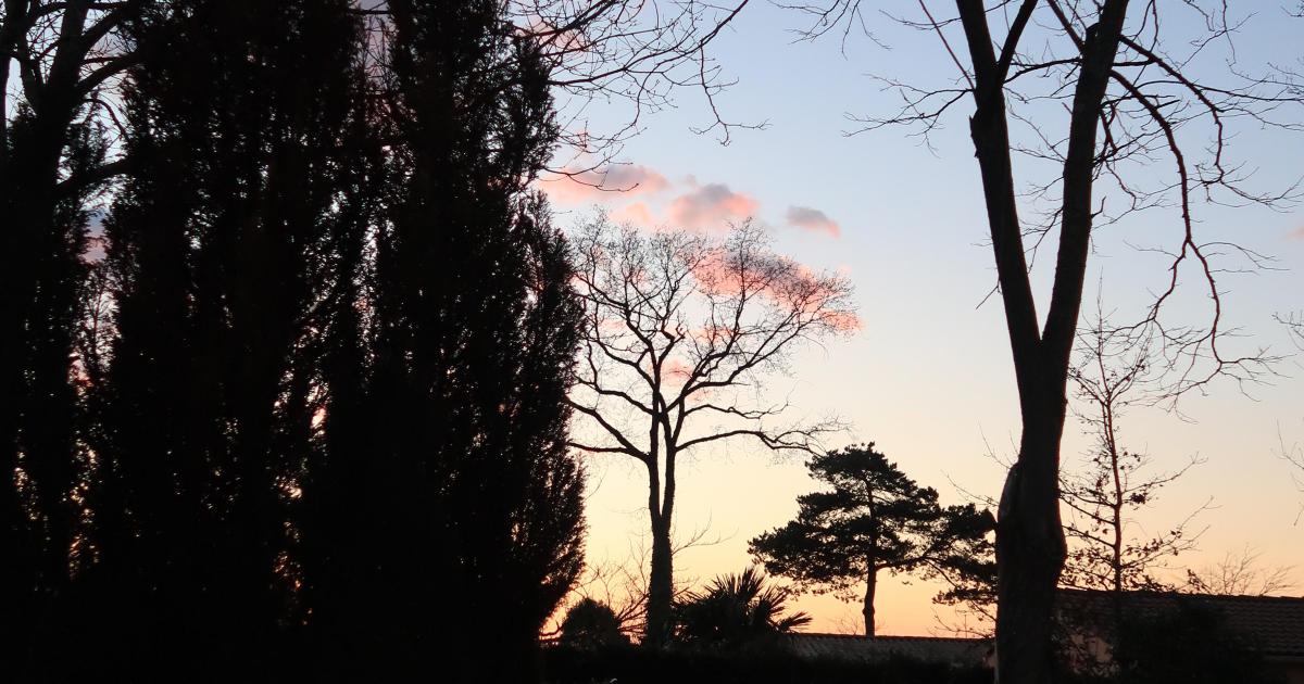 Chapitre 3 - Jusqu'au bout de la nuit