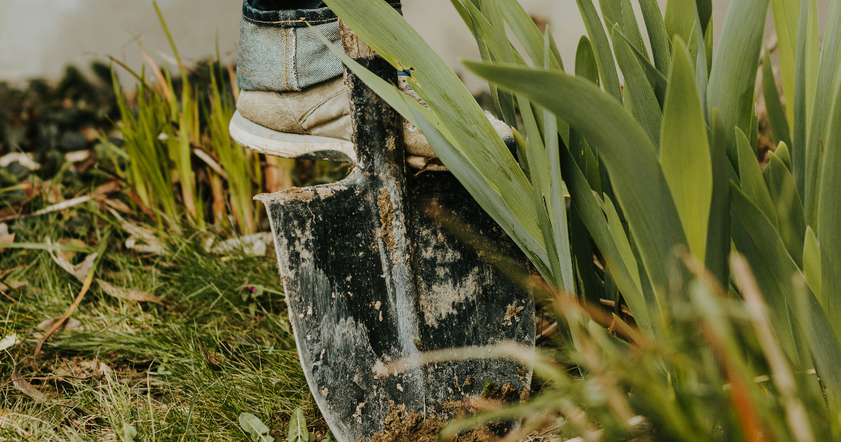 Meurtres, thé vert et jardinage.