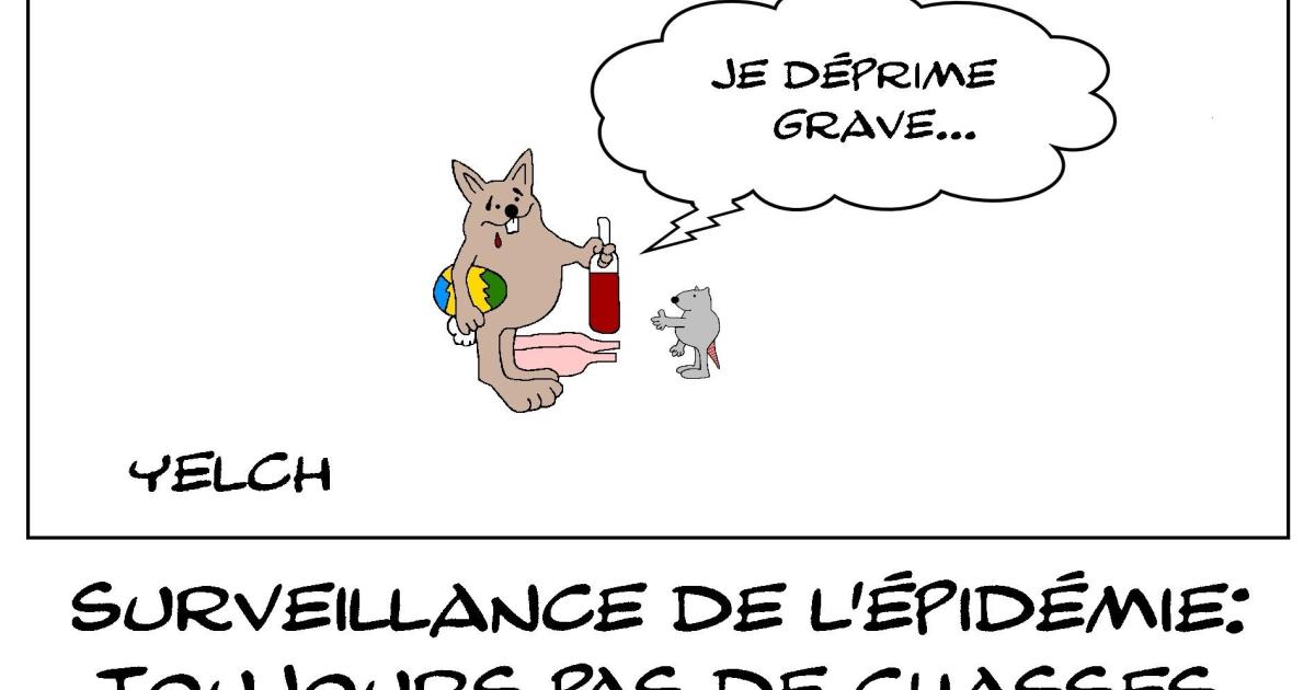 Lapin de Pâques en pleine déprime