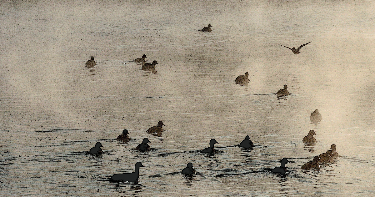 L’HOMME ET LA POÉSIE - Adresse à celui qui lit