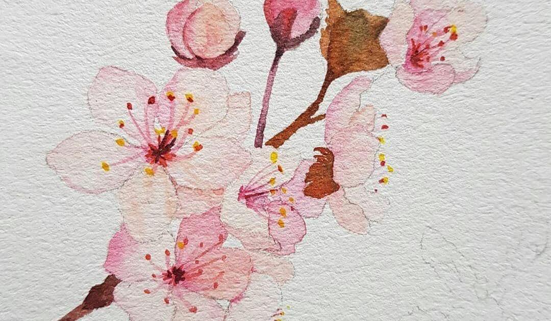 Une fleur