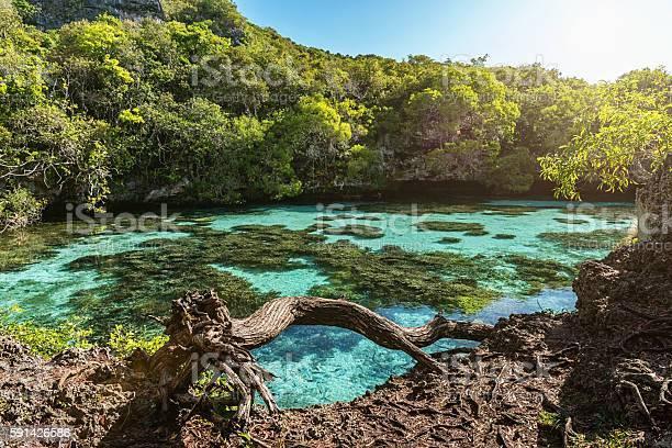 Écrire un texte avec les mots suivants :Galipettes, historien, imaginaire, jouxter, kitsch, lavallière, mordiller, Nouméa.