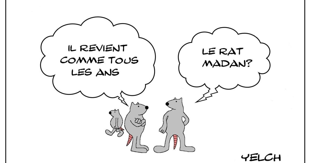 Le rat qui s'appelait Madan